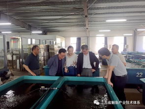 日韓專家訪問(wèn)江蘇省淡水水產(chǎn)研究所揚(yáng)中基地，共促水產(chǎn)技術(shù)交流與合作